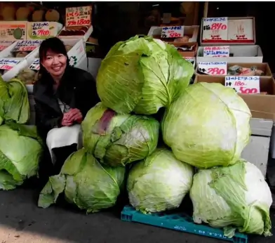 GIANT PLANTS SEEDS GIANT PLANTS SEEDS